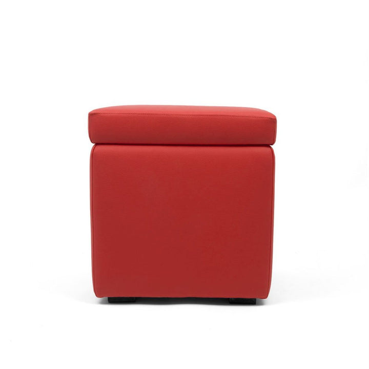 PANDORA 42 ECO | Pouf Contenitore Cubo in Ecopelle (2138511245381)