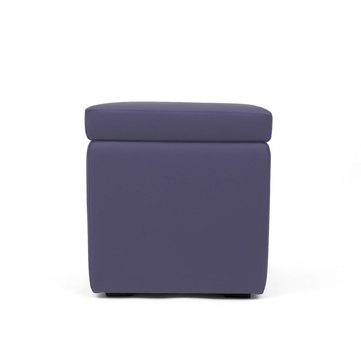 PANDORA 42 ECO | Pouf Contenitore Cubo in Ecopelle (2138511245381)